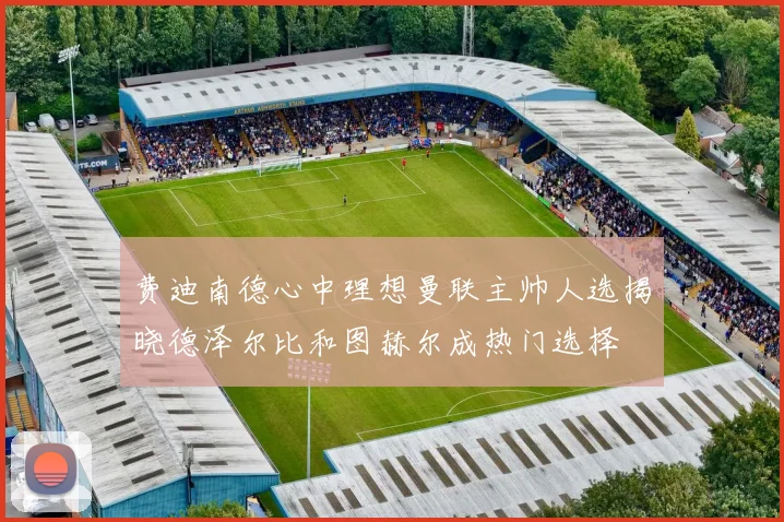 费迪南德心中理想曼联主帅人选揭晓德泽尔比和图赫尔成热门选择