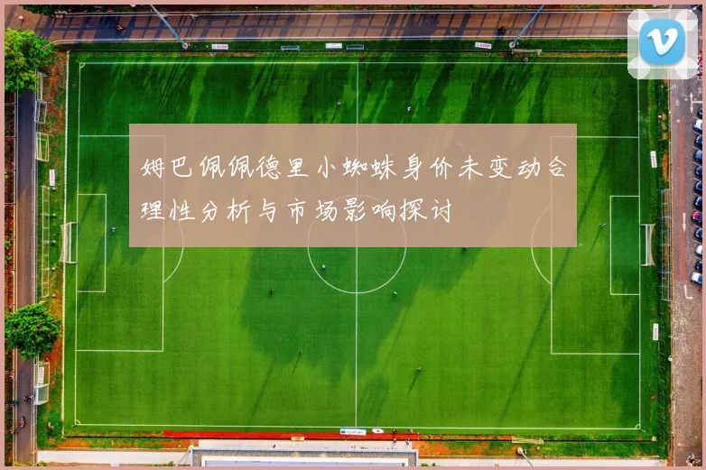 姆巴佩佩德里小蜘蛛身价未变动合理性分析与市场影响探讨