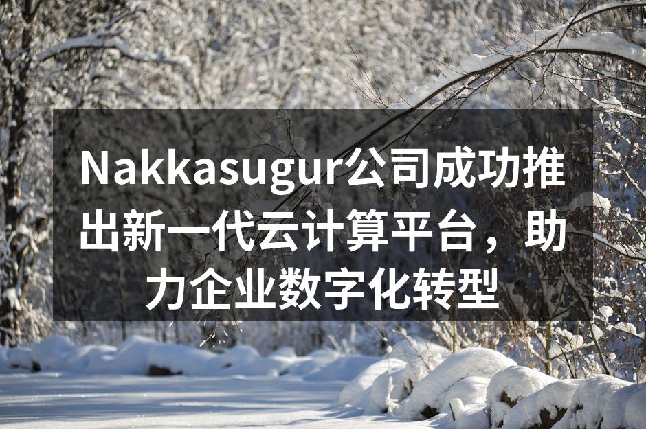 Nakkasugur公司成功推出新一代云