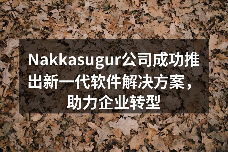 Nakkasugur公司成功推出新一代软件解决方案,助力企业转型