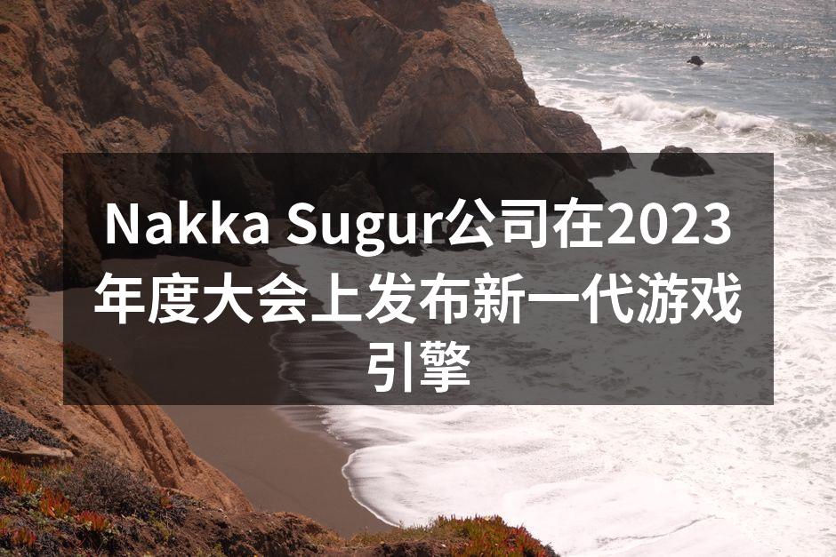 Nakka Sugur公司在2023年度