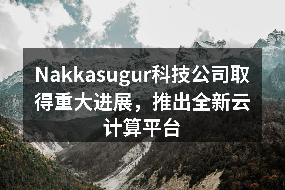Nakkasugur科技公司取得重大进展,推出全新云计算平台