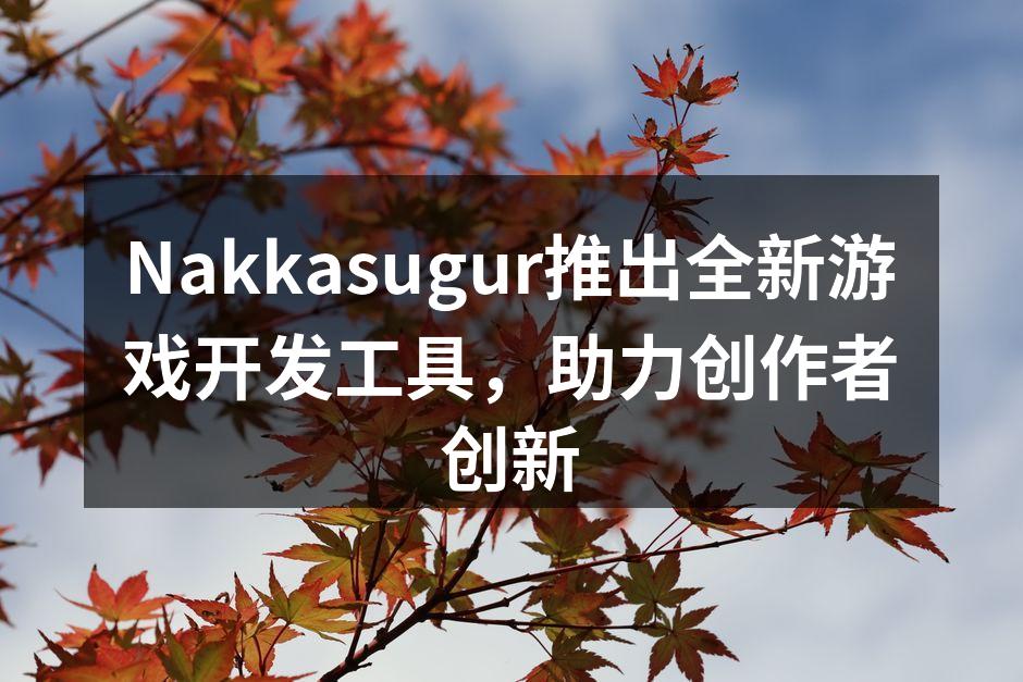 Nakkasugur推出全新游戏开发工具